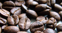 First Appellation of Origin - El Salvador
